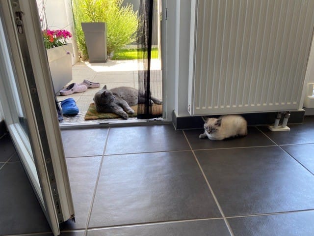 Entente après 1 mois de cohabitation