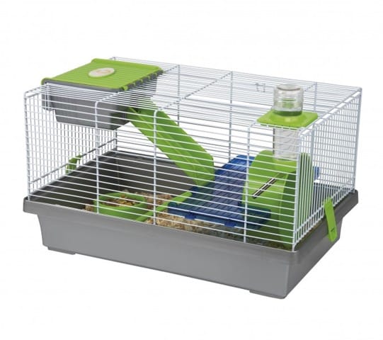 Cage Hamster nain russe