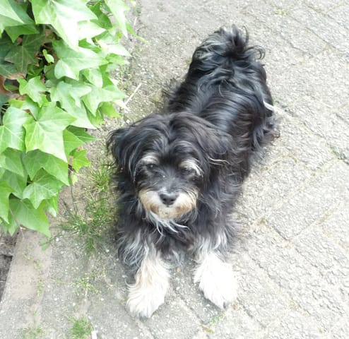 Que faire lors de fortes chaleurs ? Besoin de conseils