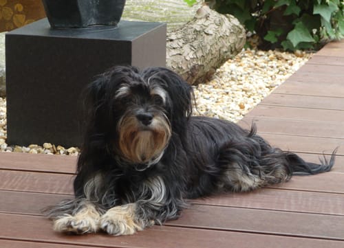 Ma petite Bibi a 1 an aujourd'hui