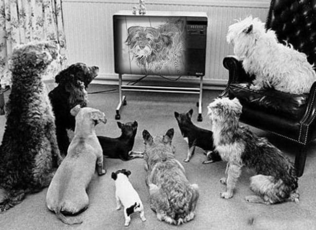 Des photos montages en vrac