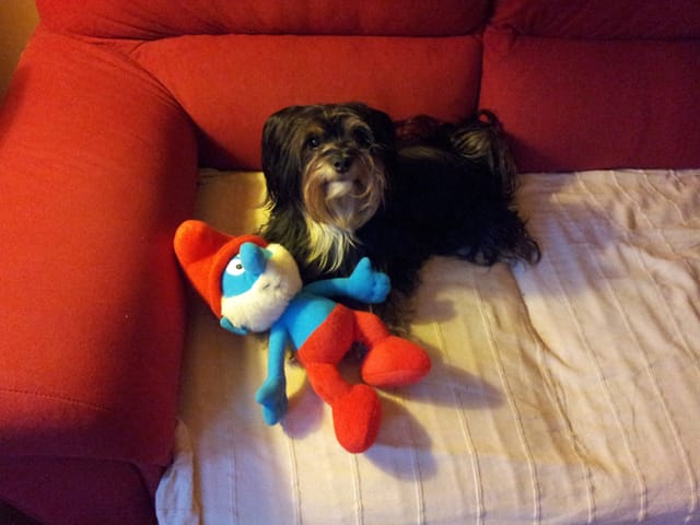 Ma petit Bibi a 3 ans aujourd'hui