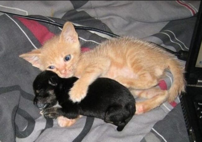 J'adoooooooooooooore !