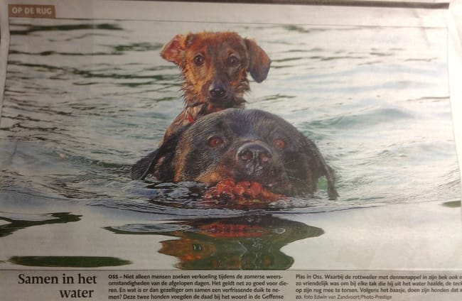 Ça s'est passée près de chez moi !