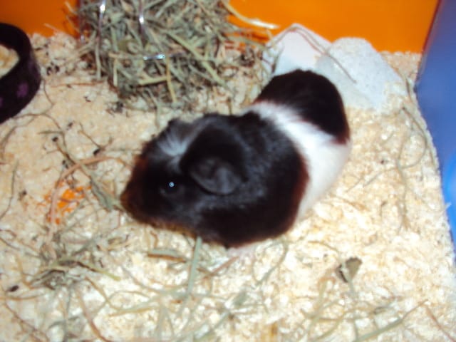 Les photos de ma princesse Lilou !