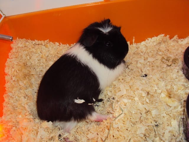 Nouvelles photos de Lilou ! 