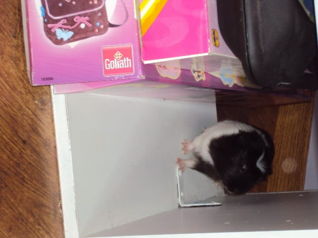 Nouvelles photos de Lilou ! (2)