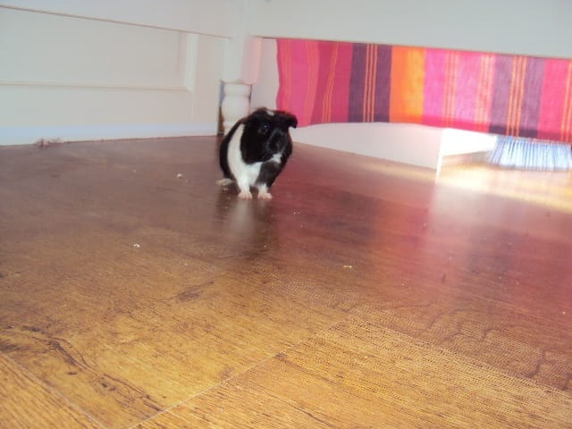 Encore des photos de Lilou ! =)