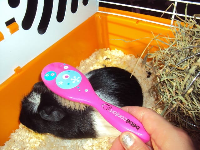 Nouvelles photos de Lilou 