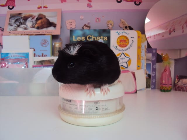 Nouvelles photos de Lilou 