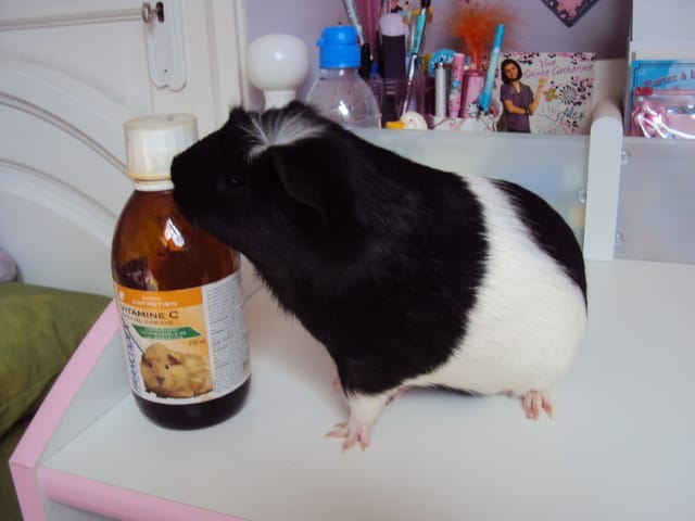 Nouvelles photos de Lilou :)