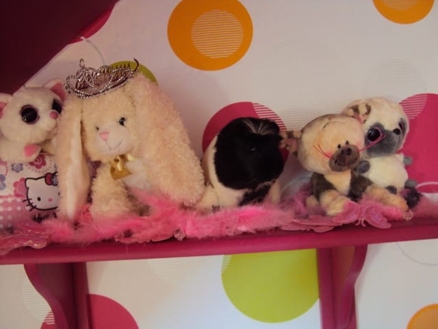 Nouvelles photos de Lilou :) + conseil !