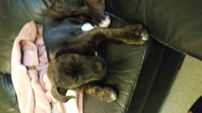 besoin de votre avis!!!!