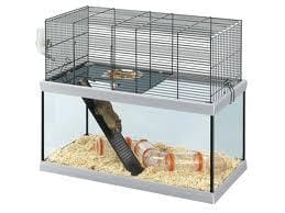 Quelle Cage pour ma gerbille ? Il me faut Des Avis ;)
