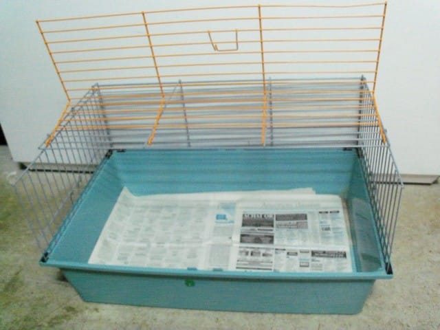 Vente d'une Cage Pour Cochon D'inde !