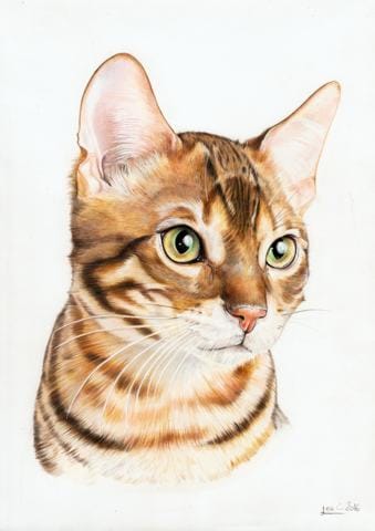 Art Animalier