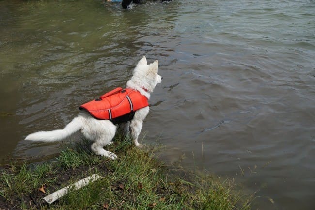 Le sauvetage à l'eau