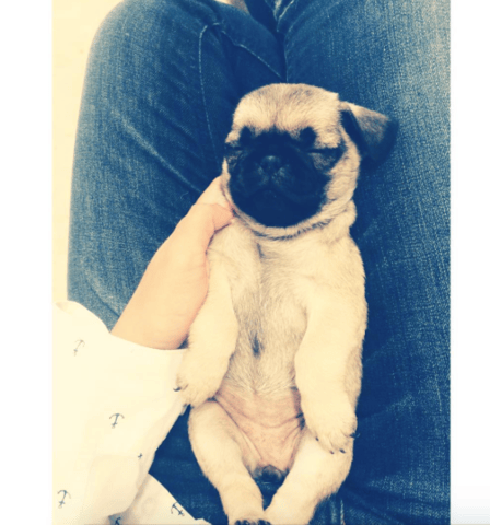 Leïa Moon, une nouvelle arrivante dans ma vie !