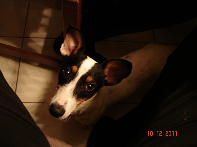 Demodecie bon traitement