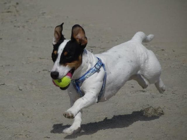 Help ou secours,, elle confond ses nuits ??????