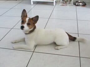 l'histoire de Jaden en image ... :-)