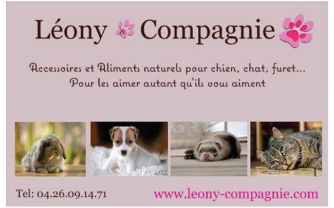 Accessoires et aliments naturels pour chiens et chats