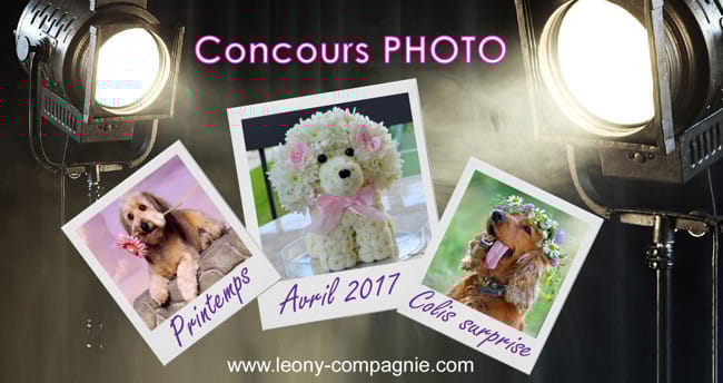 Des cadeaux GRATUITS pour votre chien ou chat