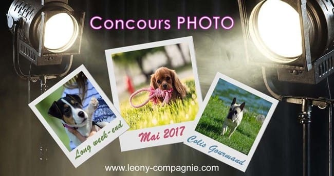 Un COLIS GOURMAND pour votre animal de compagnie