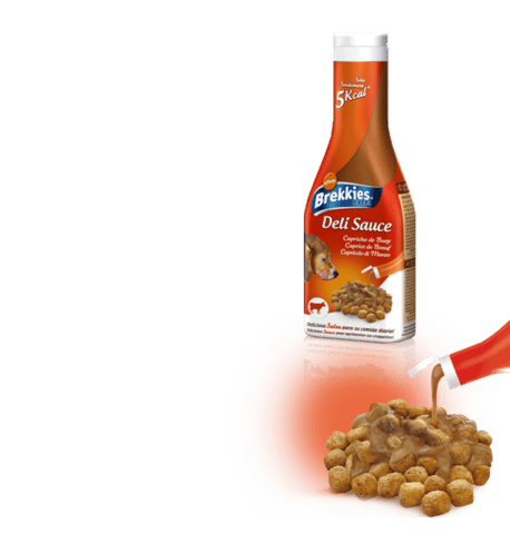 Sauce pour croquettes