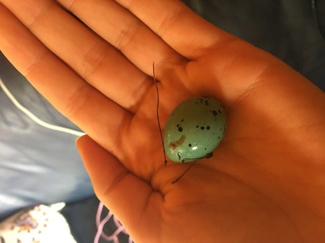 S’occuper d’un œuf d’oiseau tombé du nid