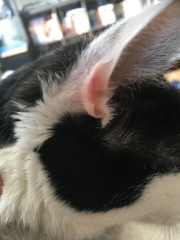 Est-ce un coup de soleil ?