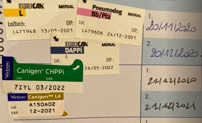 Retard rappel de vaccin