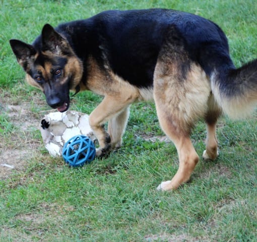 Avec le ballon