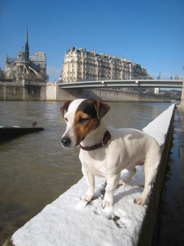 donnez moi vos conseils, infos