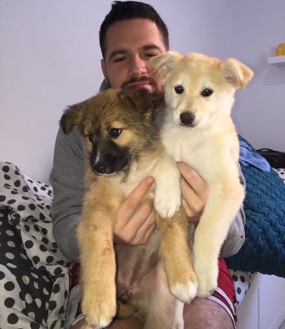 Chiots adoptés en refuge