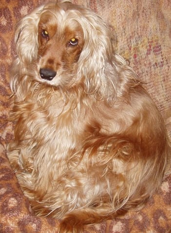 Présentation n°666 ! :-p