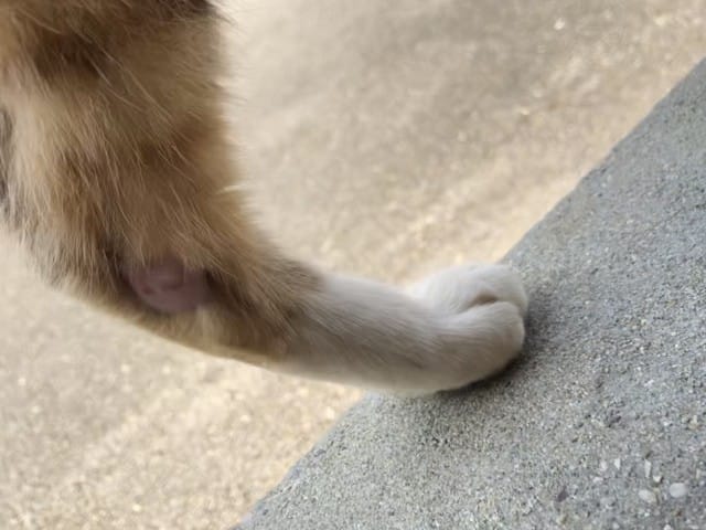 Bouton ou infection, que faire ?