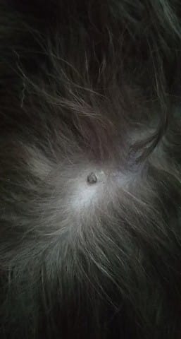 J'ai besoin de savoir ce que c'est svp!!!