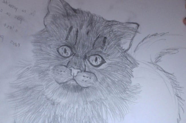 Je dessine vos animaux à votre demande