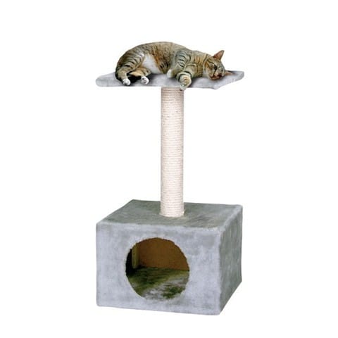 L'arbre à chat ? mon chat peut-il dormir dedans ?