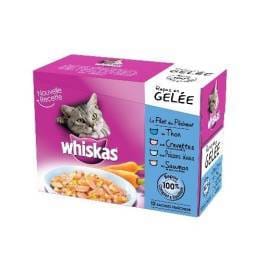 Nutrition de mon chat.