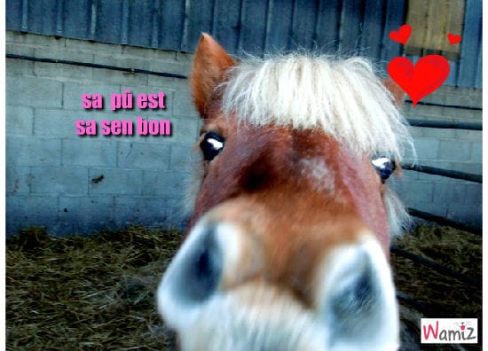 voici mais cinq tooniz qui on bien cartonner !