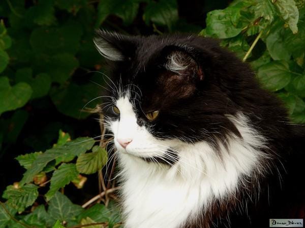 Jeu pour petits (et grands) enfants !