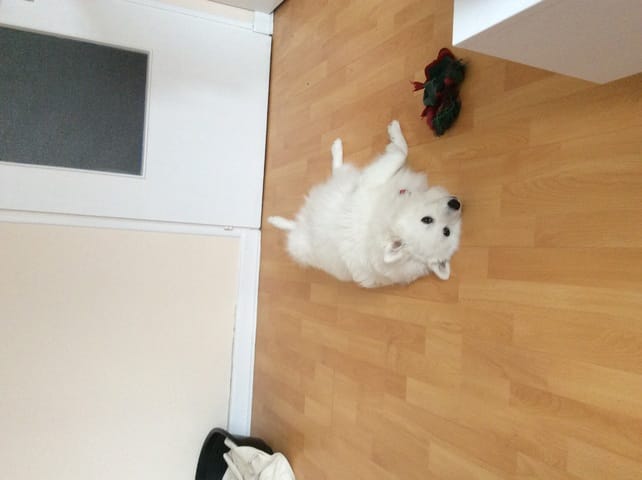 Voyage de 8h, conseils