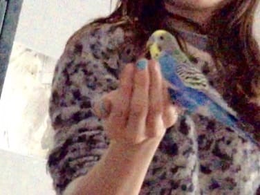 Apprivoisé Callo et Ondu