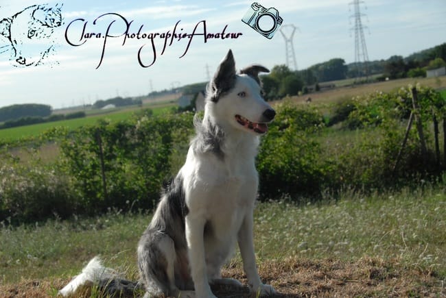 Looping & Moi , Une histoire .. Exeptionelle 