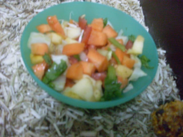 Voici des idées de plats pour cochon d'Inde