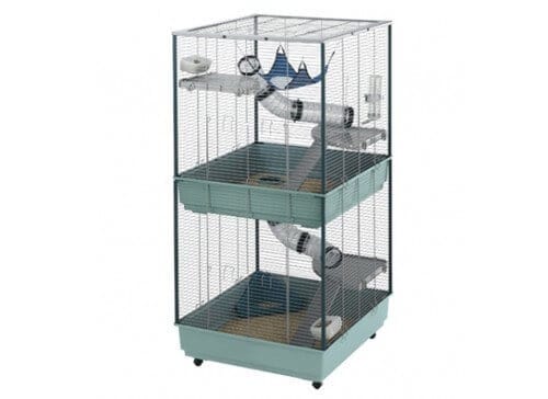 Quelle cage pour rat choisir ?
