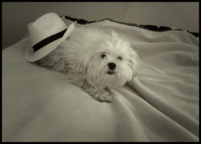 Quelle est la plus belle photo selon vous?