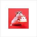 L'anniversaire de vos animaux !